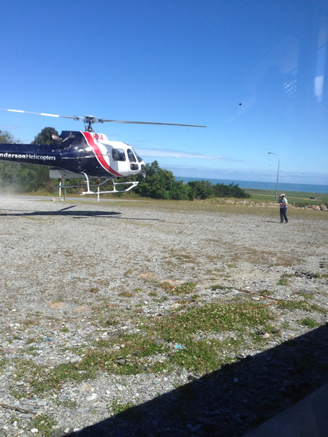 The whio arriving by helicopter.